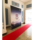 Promotionwand Display