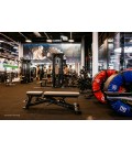 LED Grossbildleinwand, inklusive Druck Indoor