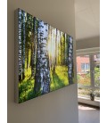 Fotoleinwand mit LED Beleuchtung